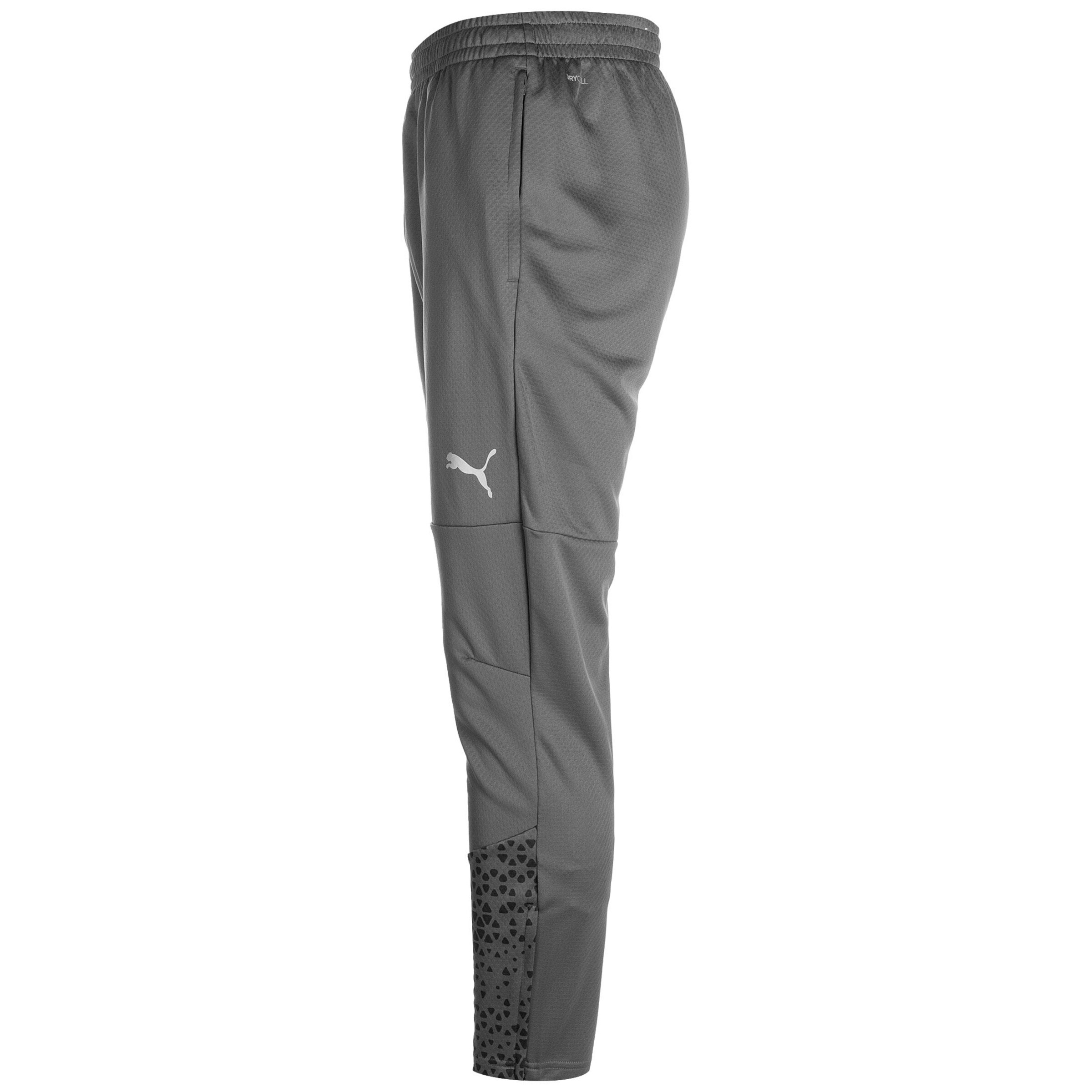 PUMA Tapered Sporthose 'TeamCup' in Grau