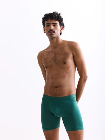 Erlich Textil Boxershorts in Grün: Vorderseite