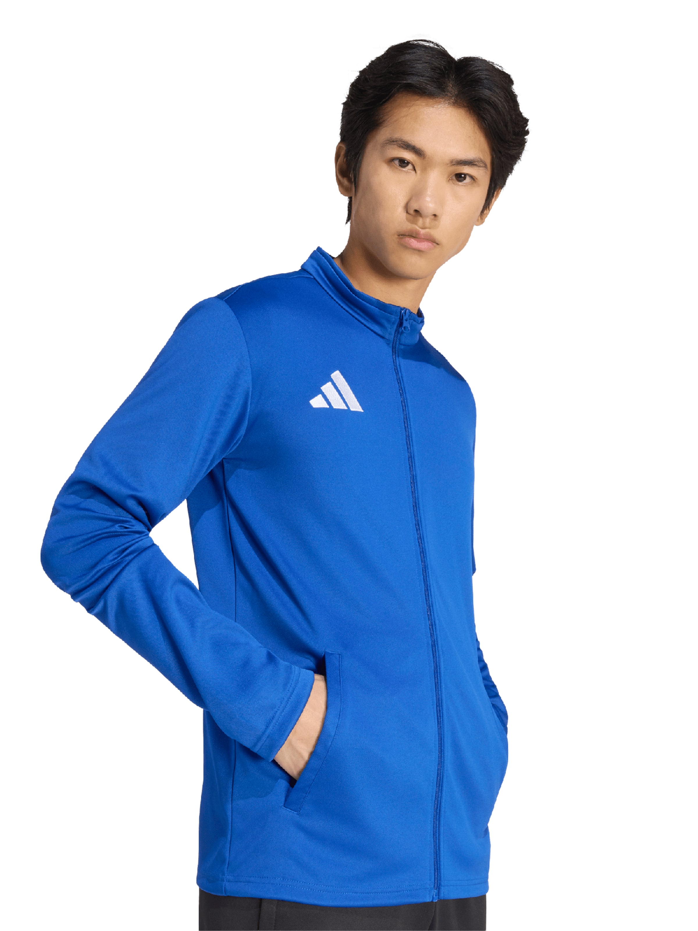 ADIDAS PERFORMANCE Training jacket 'ENT26' in Blue