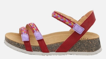 THINK! Sandalen met riem in Rood