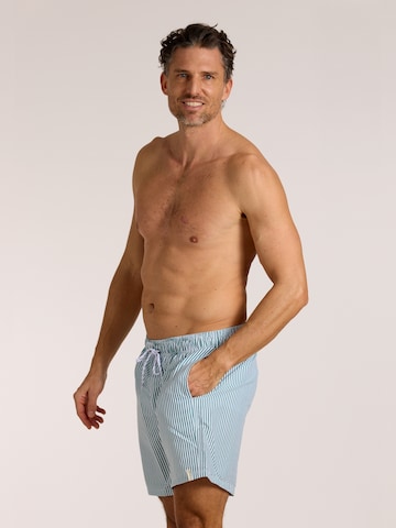 wavebreaker Board Shorts in Green