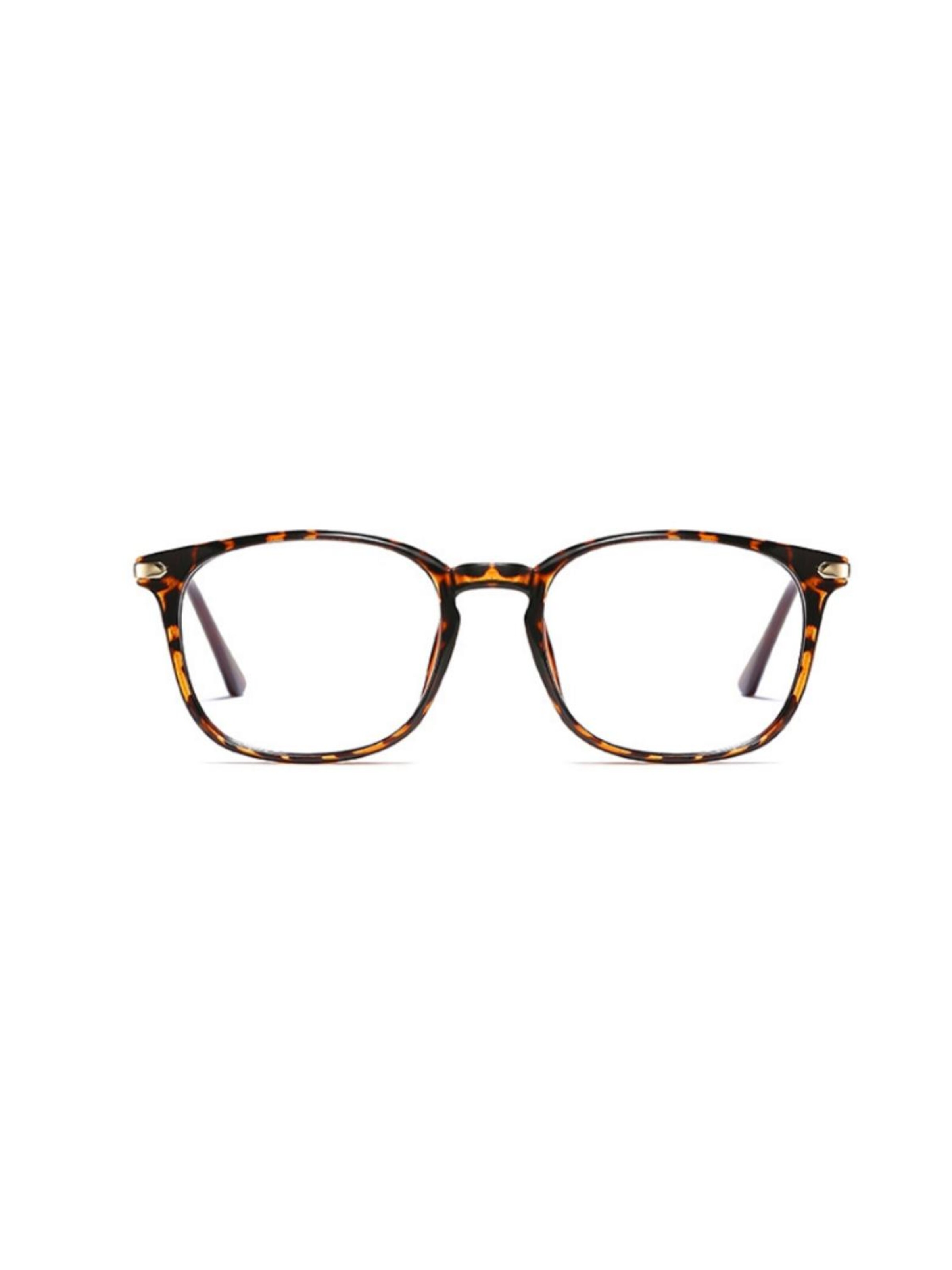 VEYREY Glasses 'Platz Sonnenbrillen Orvar' in Brown