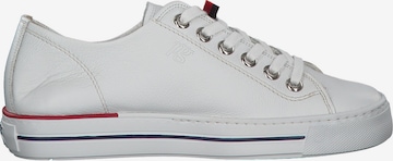 Paul Green Sneakers in White