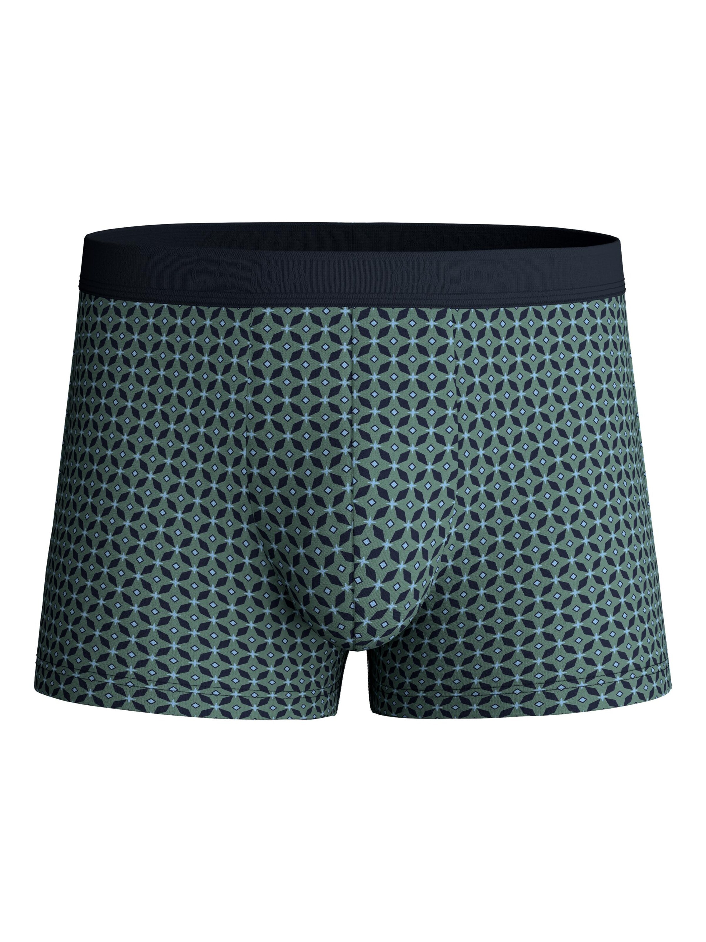 CALIDA Boxer shorts 'Focus Trend' in L in Fir, Item view