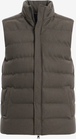 Ombre Bodywarmer in Groen: voorkant