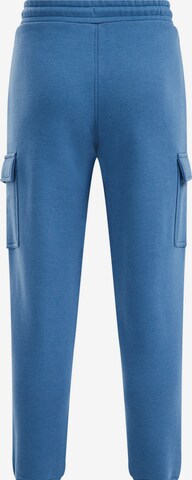 WE Fashion Tapered Hose in Blau