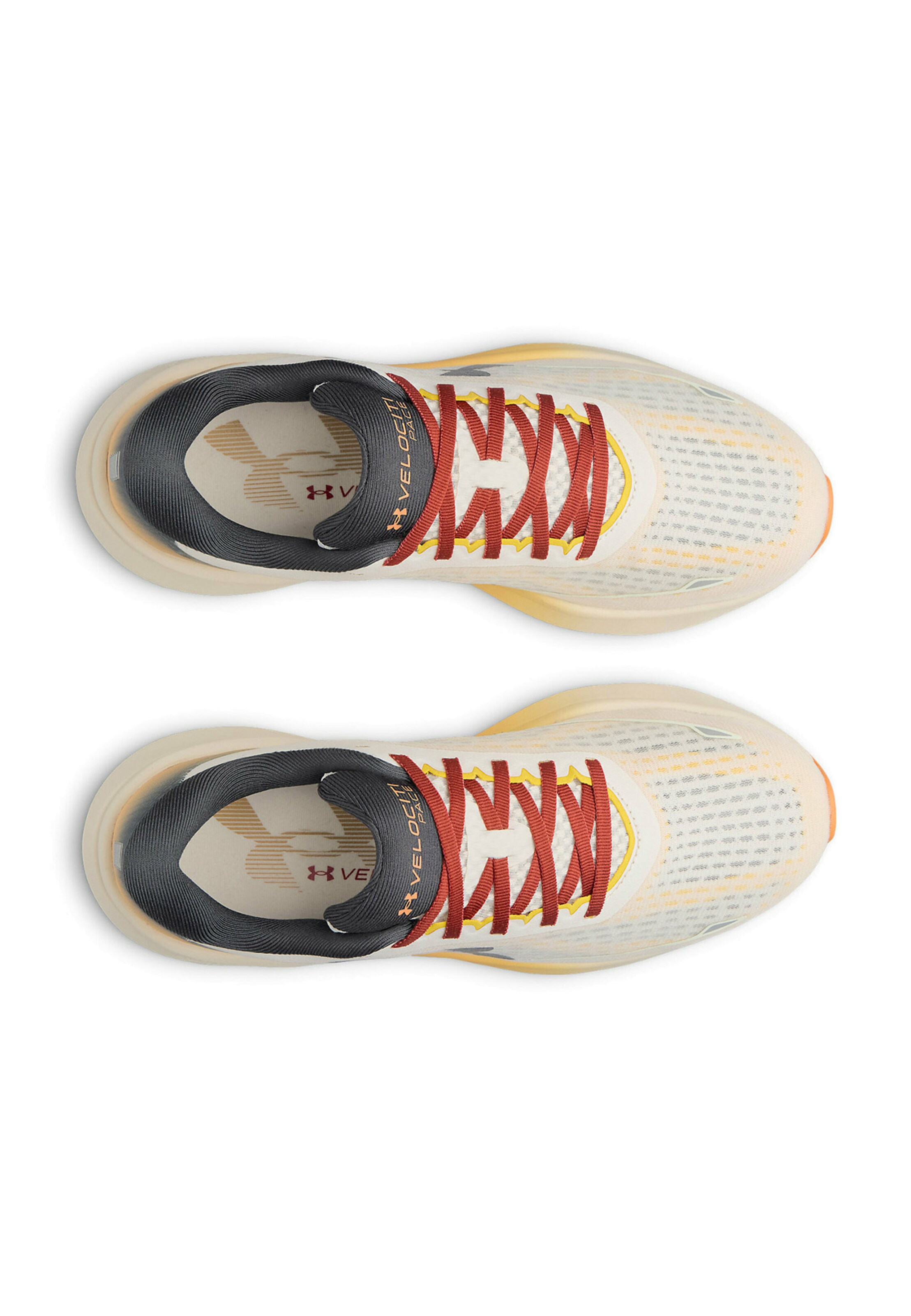 UNDER ARMOUR Springsko 'Velociti Pace' i grå