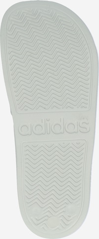 ADIDAS SPORTSWEAR Ranna- ja ujumisjalats 'ADILETTE SHOWER', värv hall