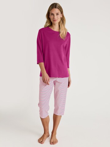 CALIDA Pyjama 'Cotton Special' in Lila