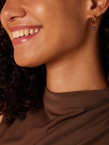 Boucles d'oreilles Lucardi en or