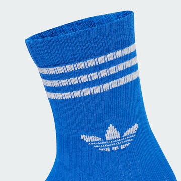ADIDAS ORIGINALS Socks in Blue