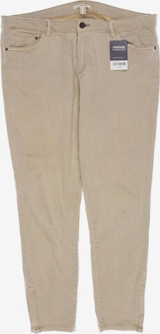 ESPRIT Jeans 34 in Beige: predná strana