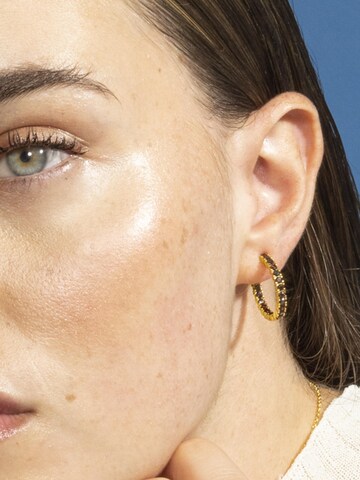 Luxenter Örhängen 'Iotha' i guld