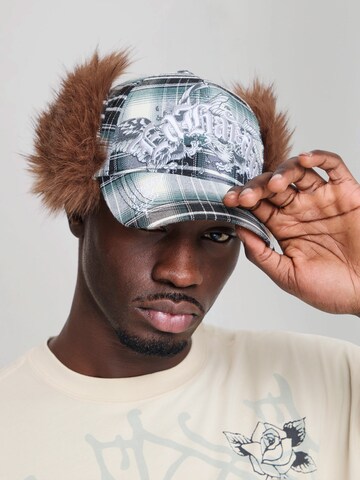 Cappello da baseball di Ed Hardy in grigio: frontale