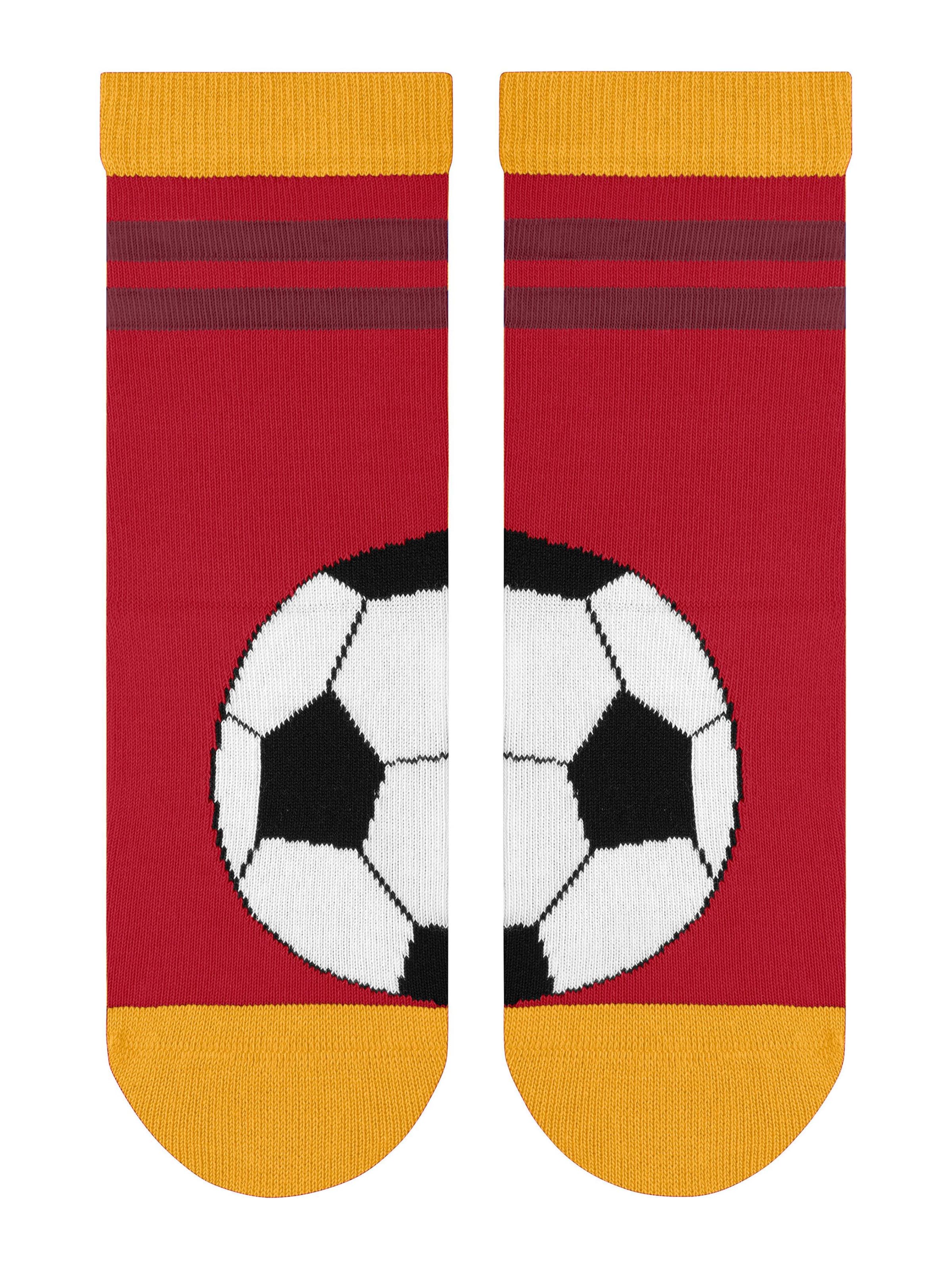 FALKE Socks 'Active Soccer' in Red