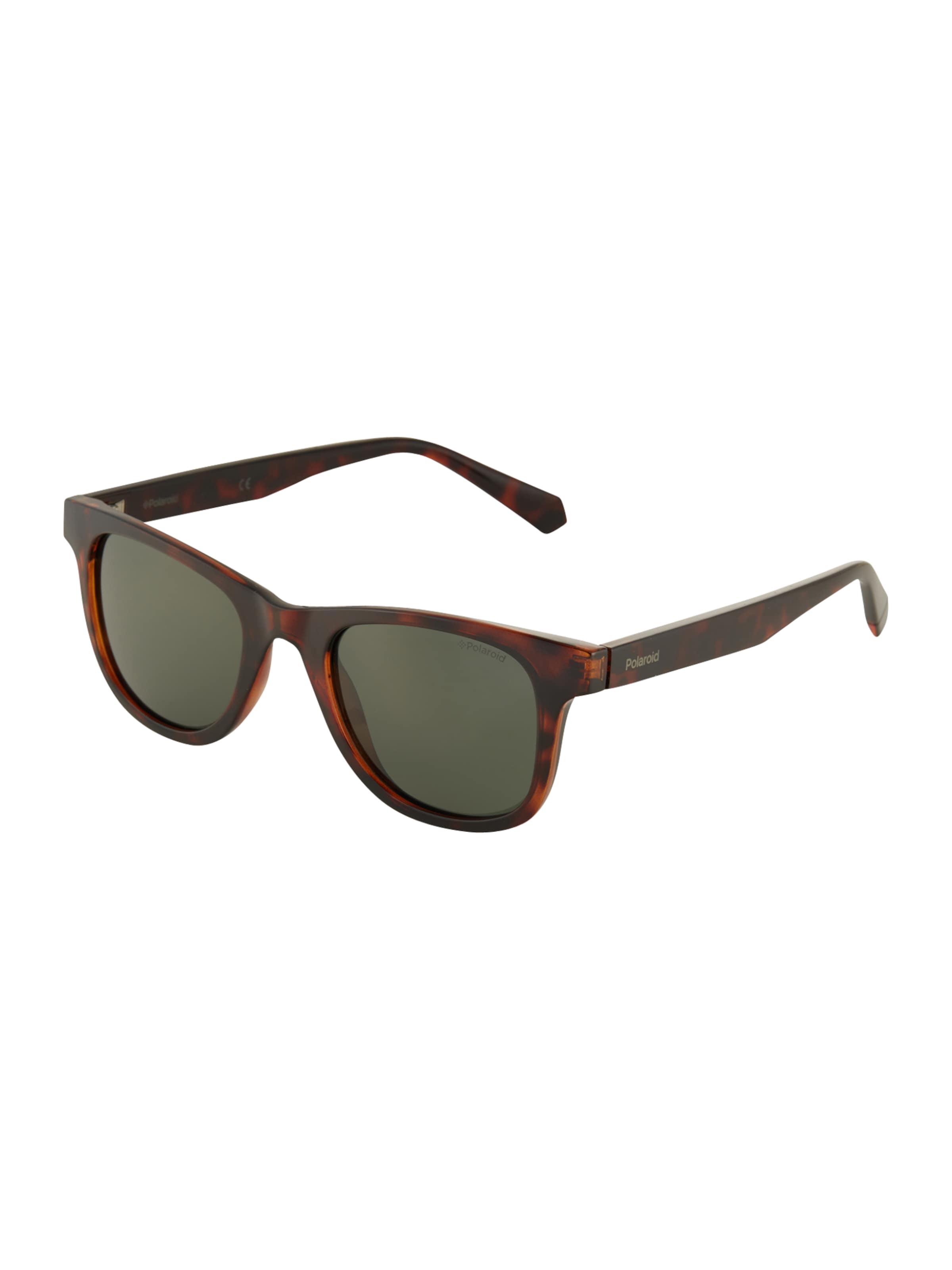 Polaroid Sunglasses in Brown: front