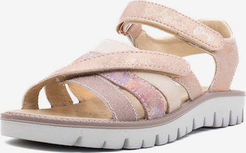 PRIMIGI Sandals & Slippers 'Pax' in Pink: front