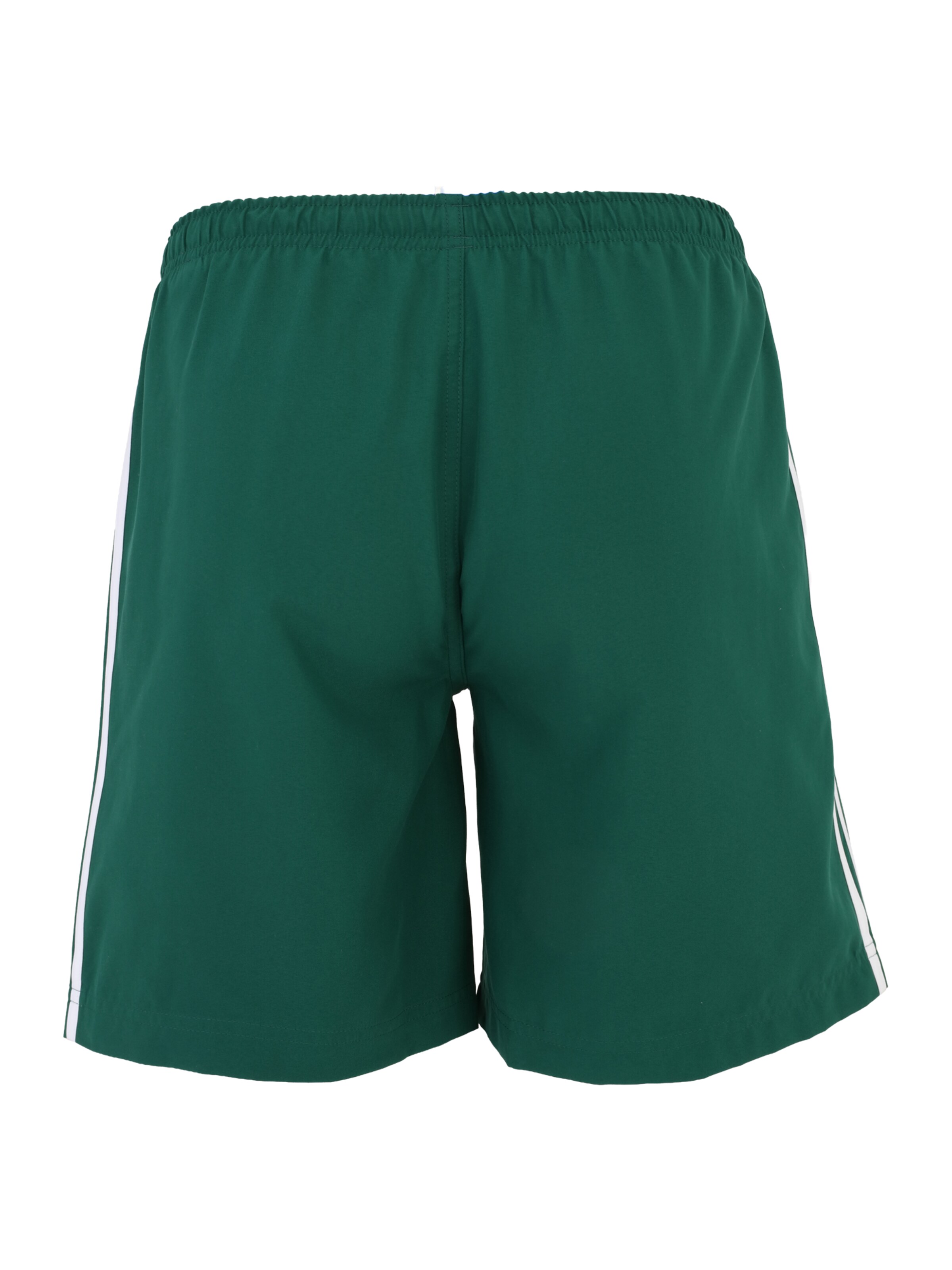ADIDAS ORIGINALS Badshorts 'Adicolor' i grön