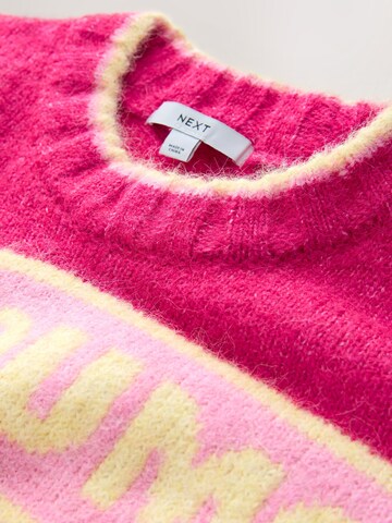 Next Sweater in Pink