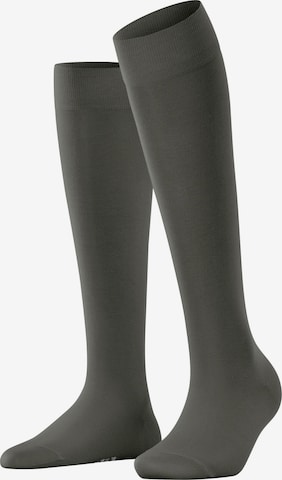 FALKE Knee High Socks 'Cotton Touch' in Green: front