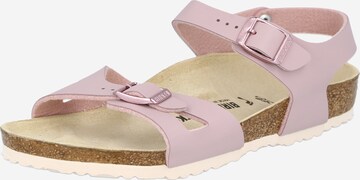 BIRKENSTOCK Sandale  'Rio' in Lila: predná strana