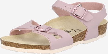 purpurinė BIRKENSTOCK Sandalai 'Rio': priekis