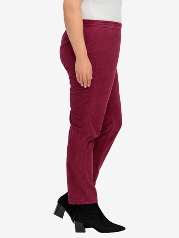 SHEEGO Regular Pants in Red