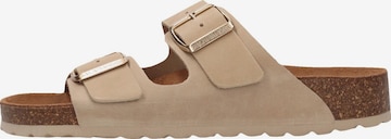 SALAMANDER Pantolette 'Basic' in Beige: Vorderseite