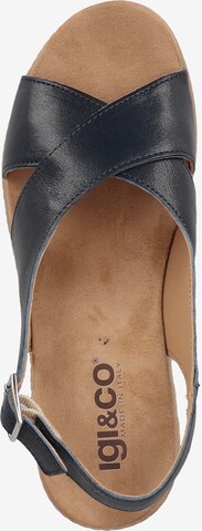 IGI&CO Strap Sandals in Blue