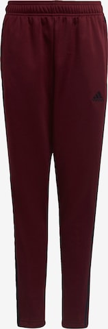 ADIDAS SPORTSWEAR Regular Workout Pants 'Tiro' in Red: front