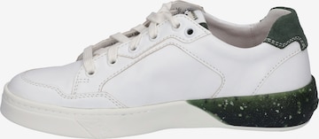 JOSEF SEIBEL Sneakers 'WILMA 02' in White