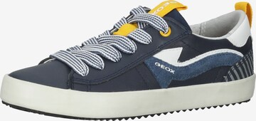 GEOX Sneaker in Blau: predná strana