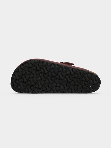 BIRKENSTOCK Muiltjes 'Boston' in Bruin