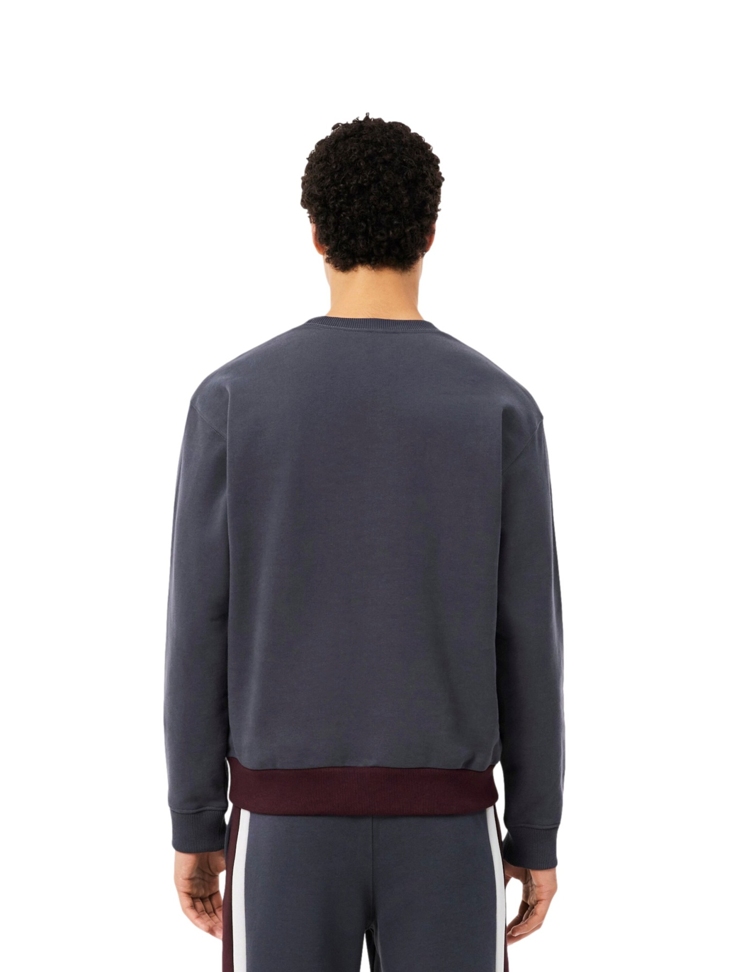 Felpa di LACOSTE in grigio