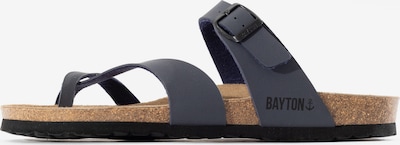 Bayton Japanke 'Diane' u plava / antracit siva, Pregled proizvoda