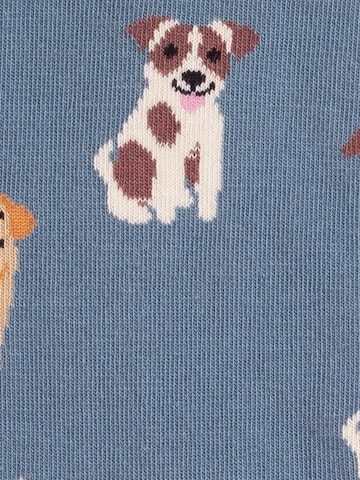 DillySocks Sokken 'Cute Animal' in Blauw