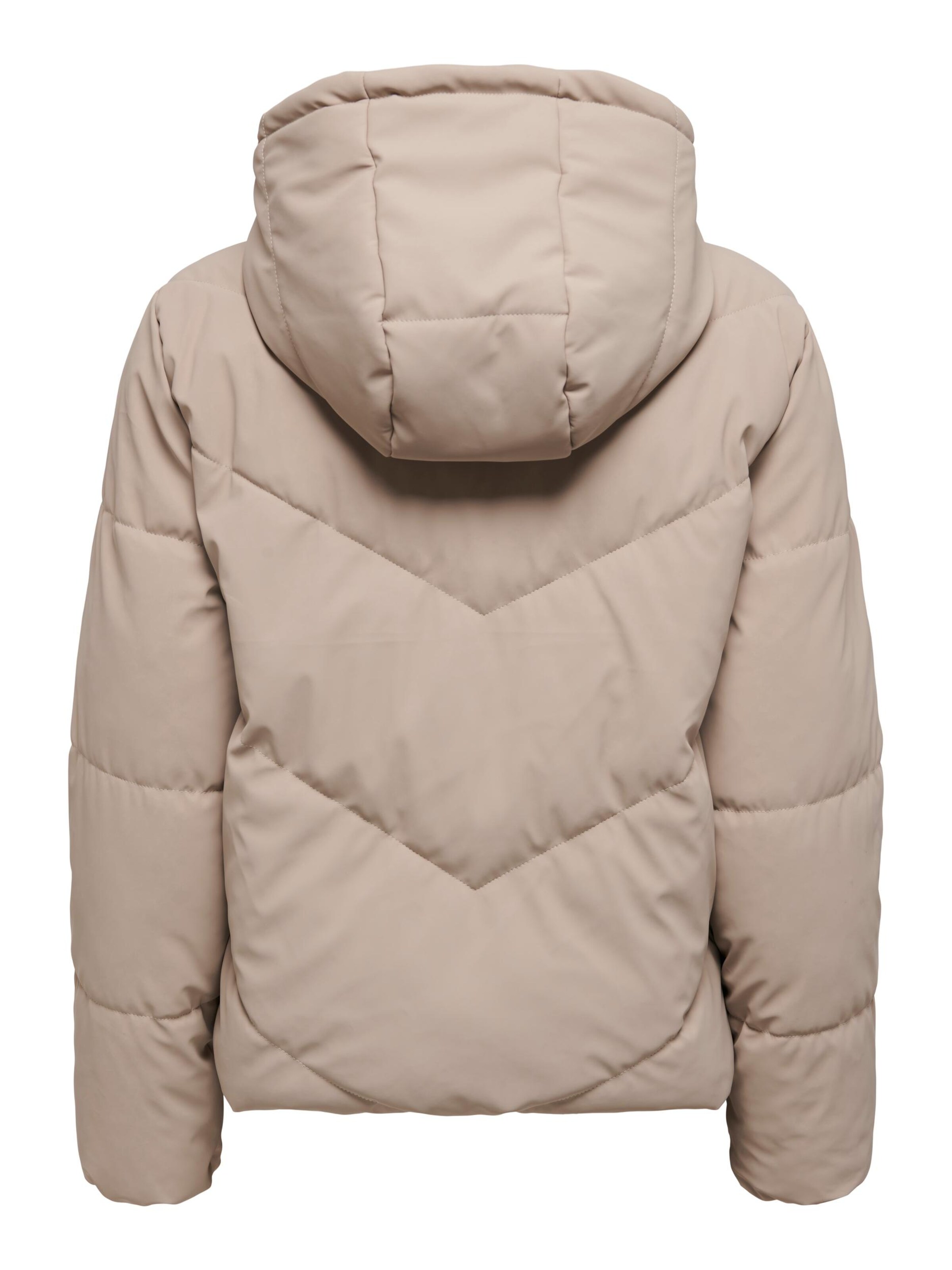 JDY Χειμερινό μπουφάν 'JDYArnhem' σε γκρι