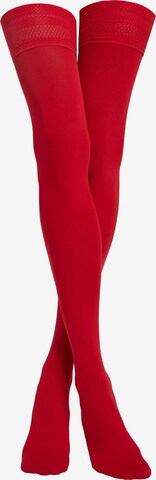 CALZEDONIA Hold-up stockings in Red: front