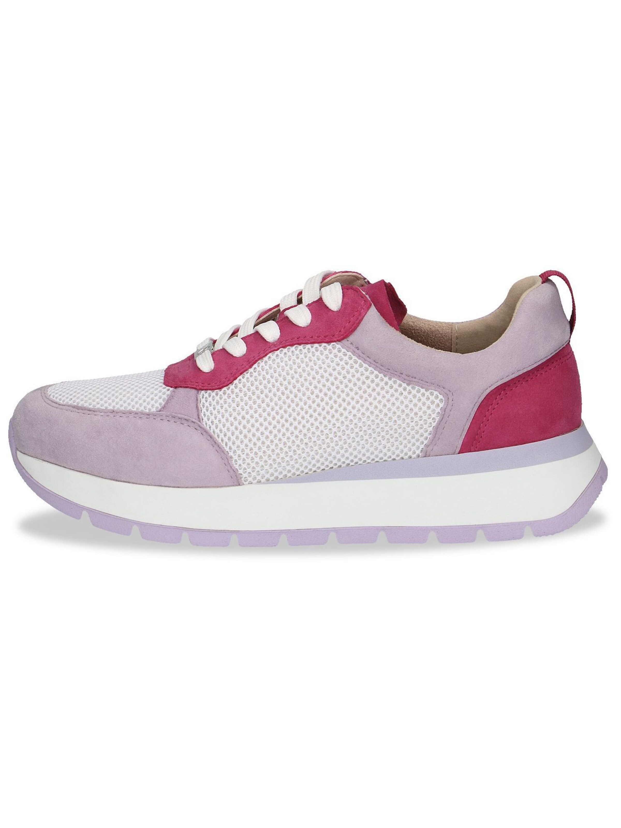 Baskets basses CAPRICE en violet
