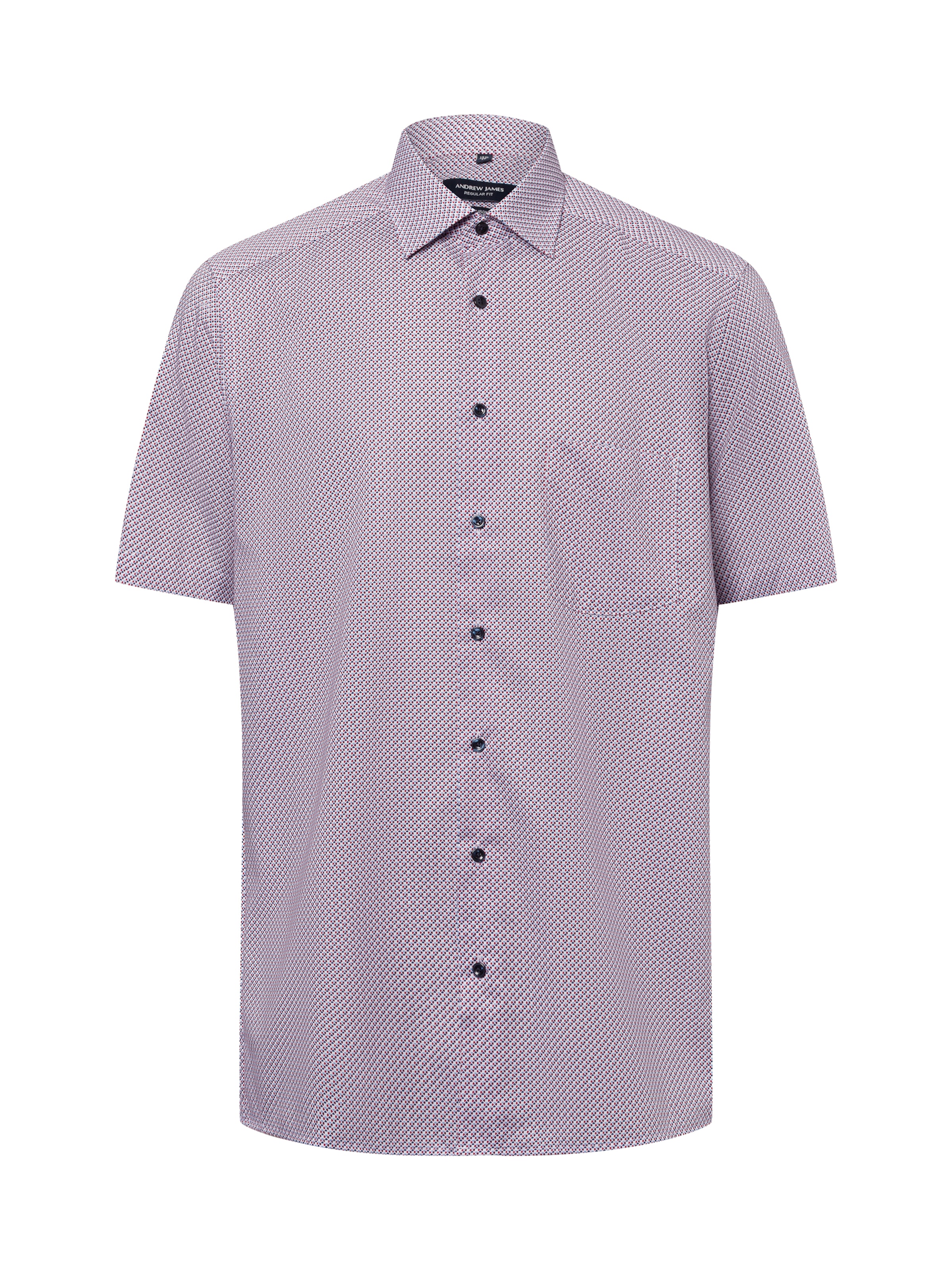 Andrew James Regular Fit Hemd in Mischfarben: Vorderseite