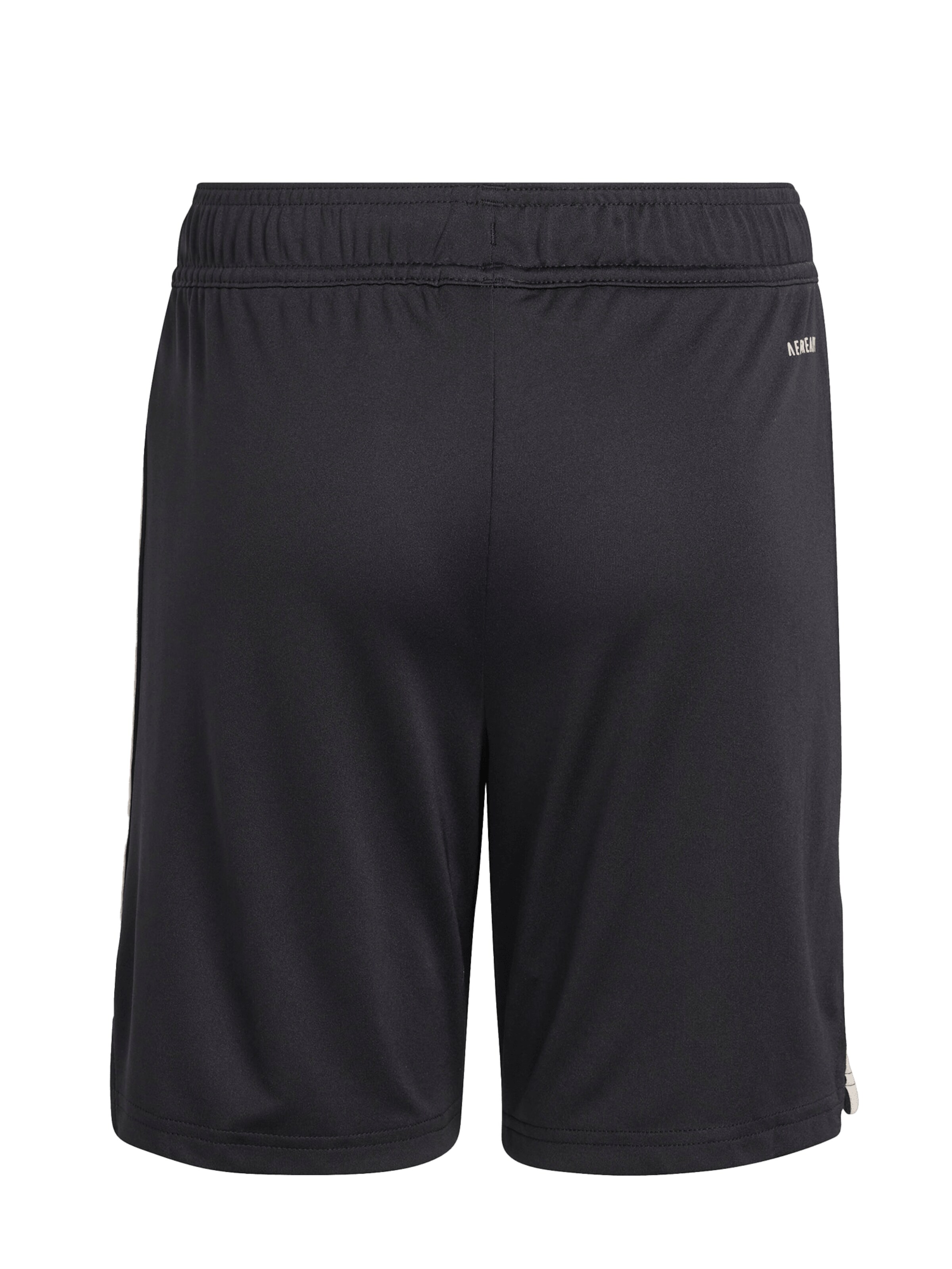 juoda ADIDAS ORIGINALS Standartinis Kelnės 'FC Bayern 25/26'