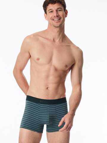 Boxers ' 95/5 Organic Cotton ' SCHIESSER en bleu : devant