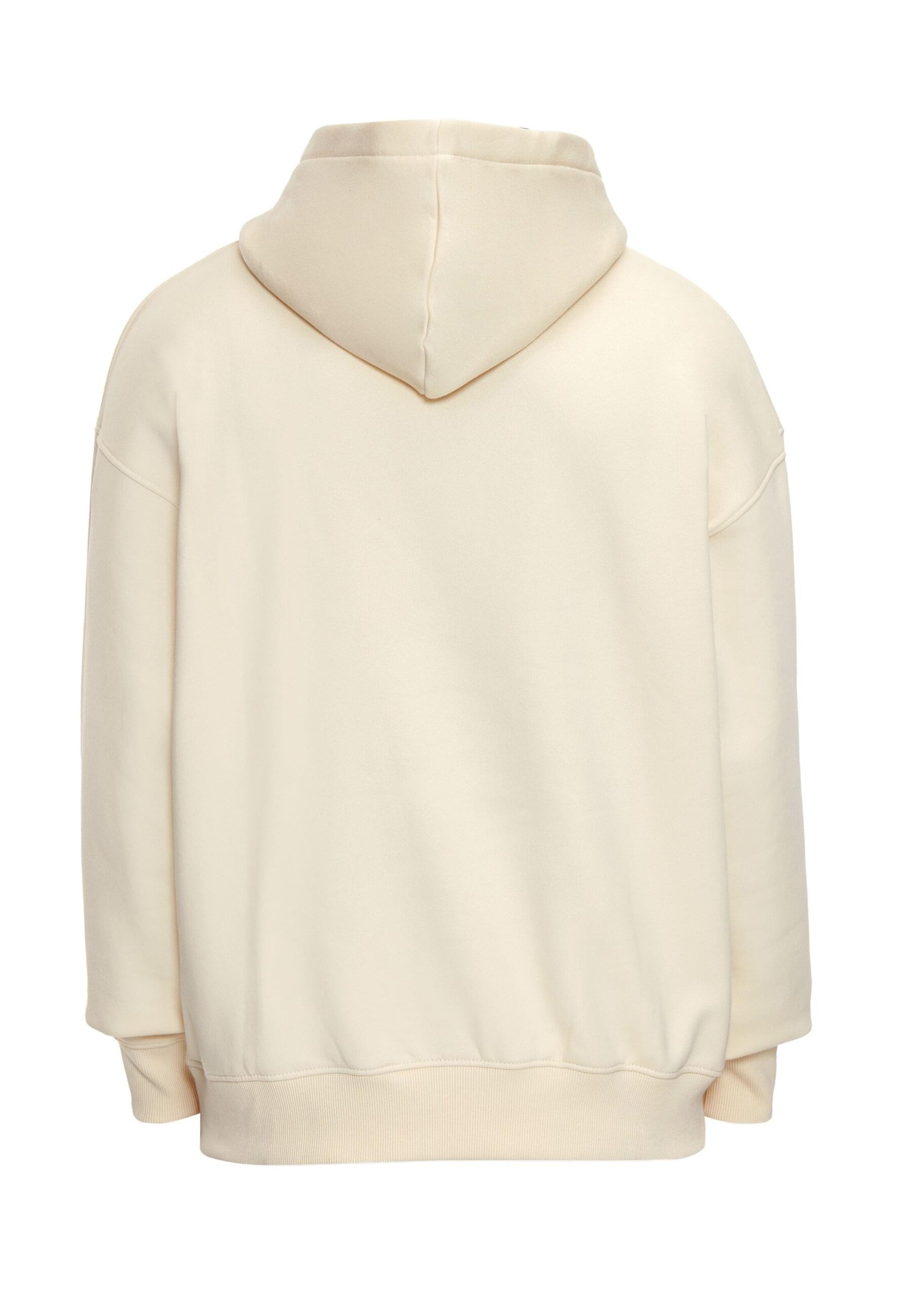 Dropsize Sweatshirt in Wit