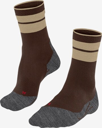 FALKE Sportsocken 'TK Compression Stabilizing' in Braun: Vorderseite