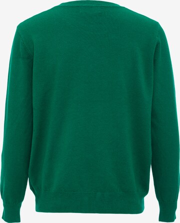 LUREA Sweater in Green
