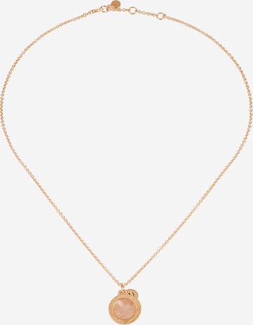 Emporio Armani Necklace in Gold