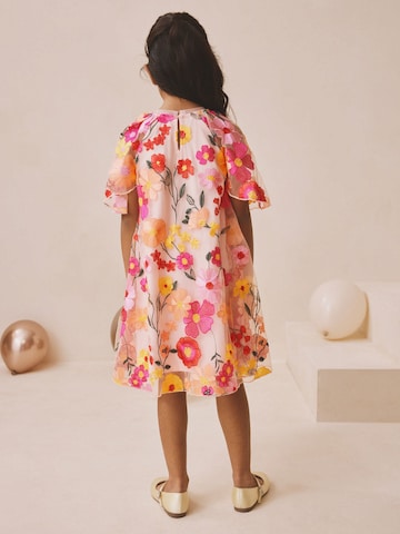 Rochie de la Next pe roz