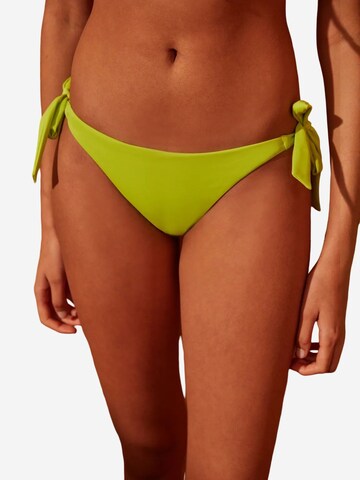 Penti Bikini hlačke 'Bikinihosen' | zelena barva: sprednja stran