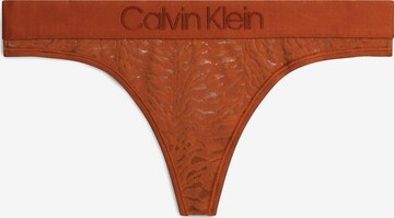 Calvin Klein Underwear Thong in Brown: front