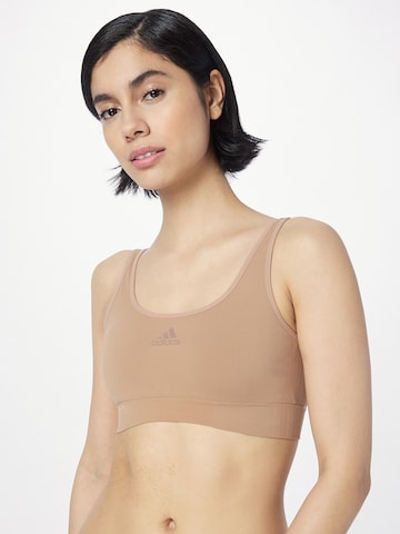 ADIDAS ORIGINALS Bralette Sports bra 'Trunk (3PK)' in Brown: front